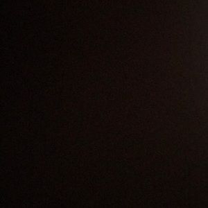 Meet your Posher, Anne